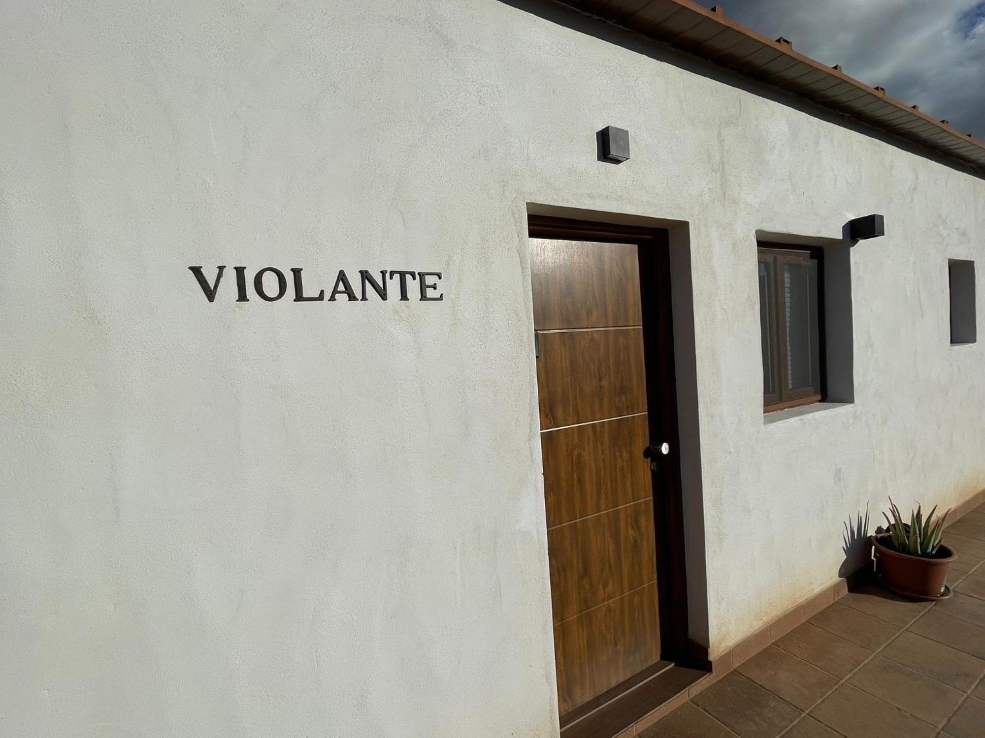 Tuineje Apartamentos Violante מראה חיצוני תמונה