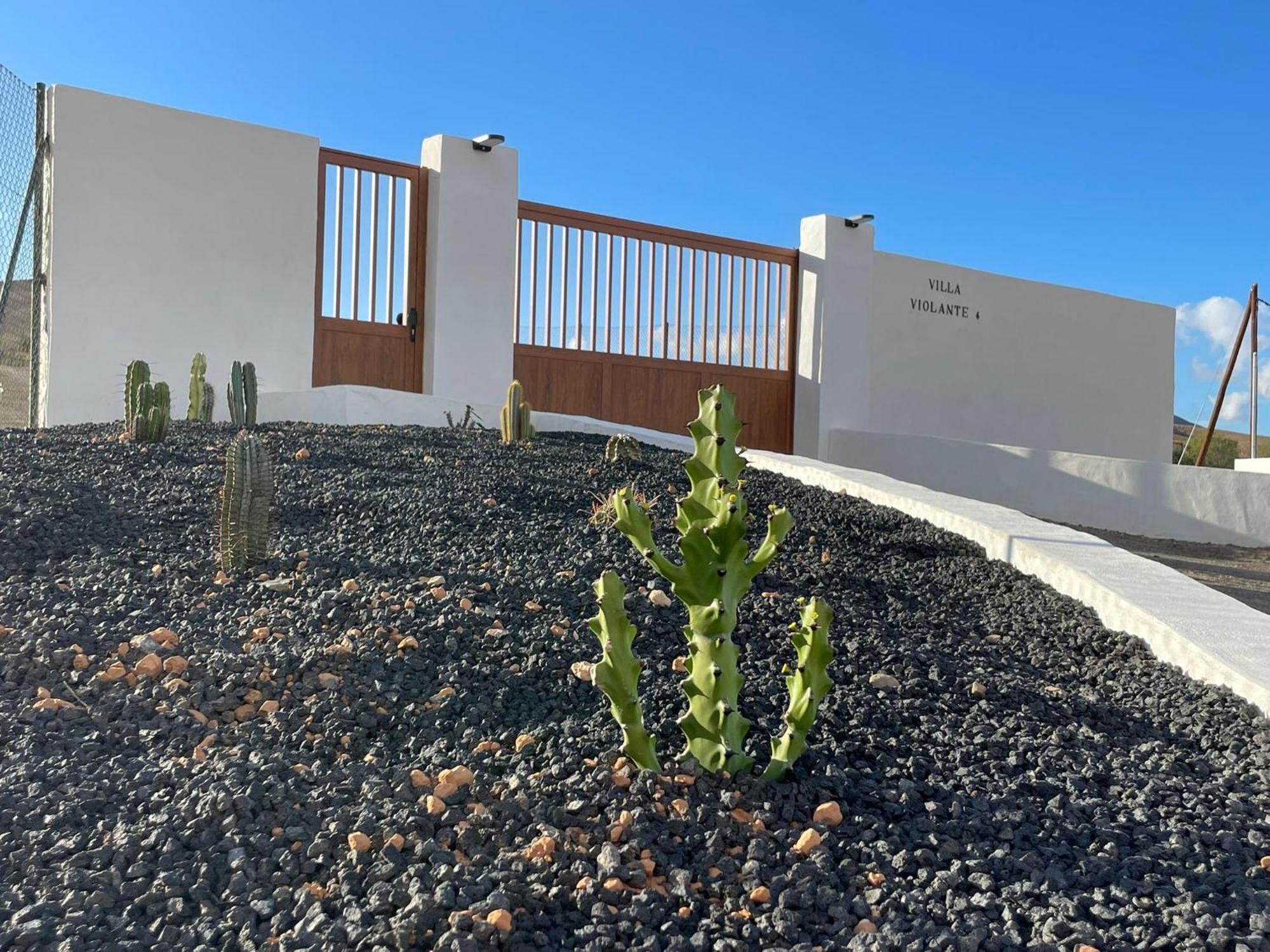 Tuineje Apartamentos Violante מראה חיצוני תמונה